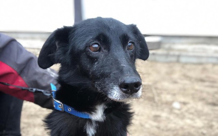 Zbiórka Leczenie i profilaktyka Igi - zdjęcie główne