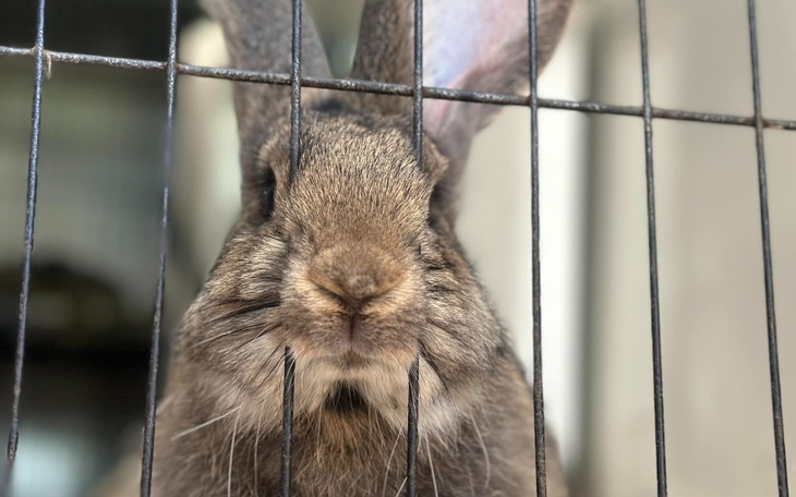 Zbiórka Po prostu na przetrwanie - zdjęcie główne
