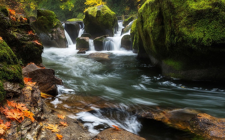 Zbiórka na wymarzoną działkę nad jezioro - zdjęcie główne