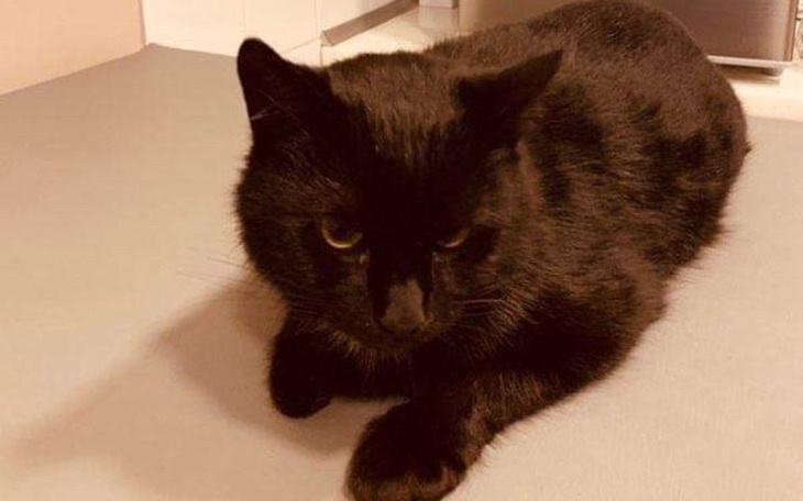 Zbiórka Krwiak w brzuchu wielkości dłoni - zdjęcie główne