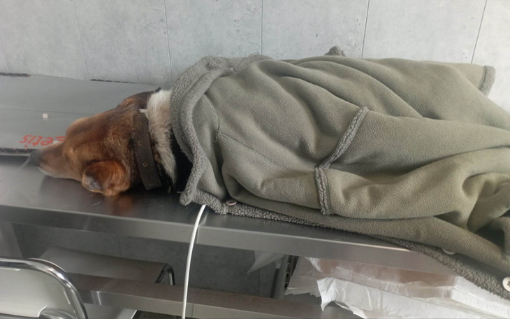 Zbiórka Skazany na śmierć z głodu - zdjęcie główne