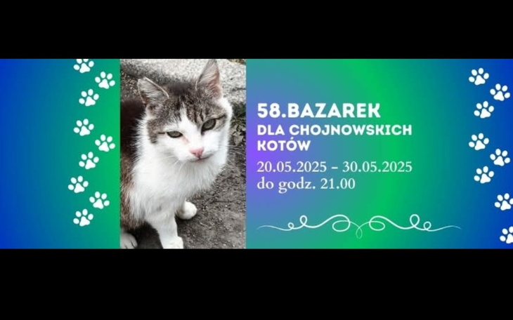 Plakat bazarku dla kotów z datami i informacjami.