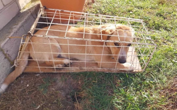 Zbiórka Nie chce wracać do piekła - zdjęcie główne