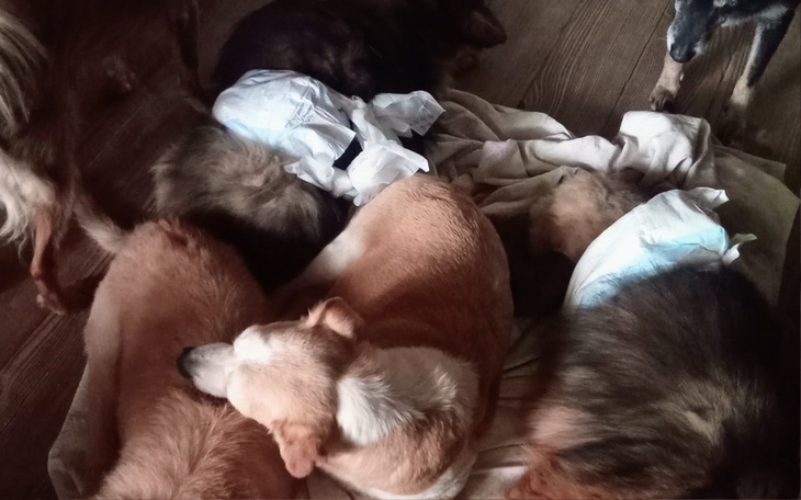 Zbiórka Tak nam się marzy - zdjęcie główne