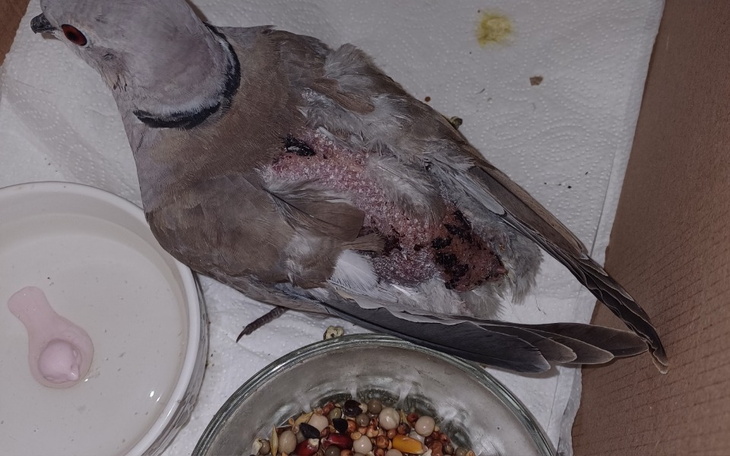 Przewrócone auto na poboczu drogi, w tle osoba.