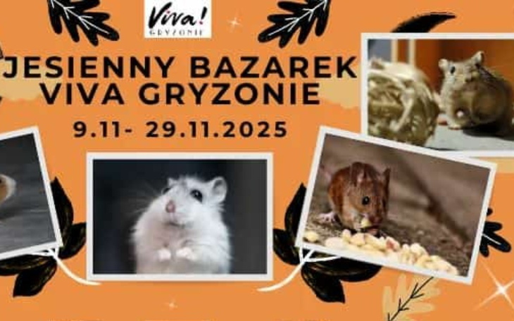 Plakat promujący bazarek dla gryzoni.