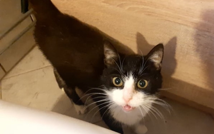 Zbiórka Na lek dla Olgi - zdjęcie główne