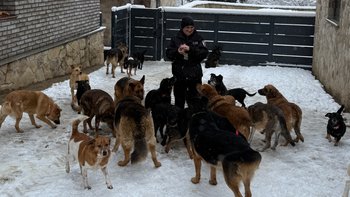 Zbiórka Prąd dla ratowanych zwierząt - miniaturka zdjęcia