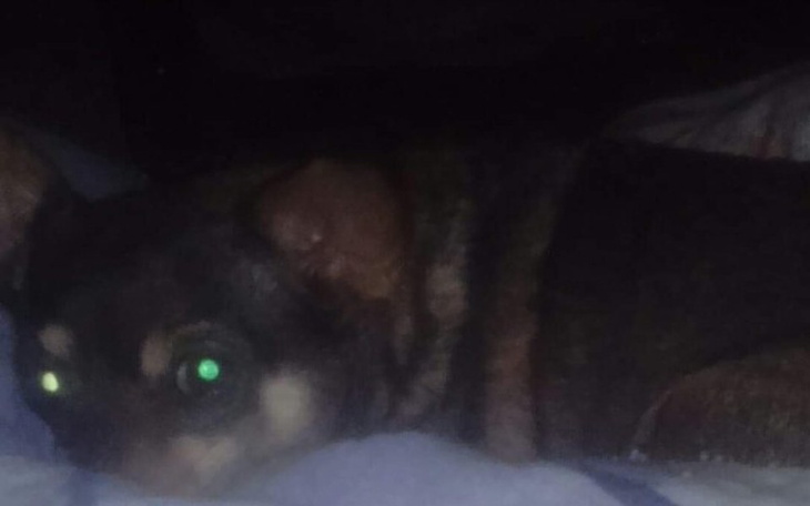 Zbiórka Pomoc rodzinie!! - zdjęcie główne