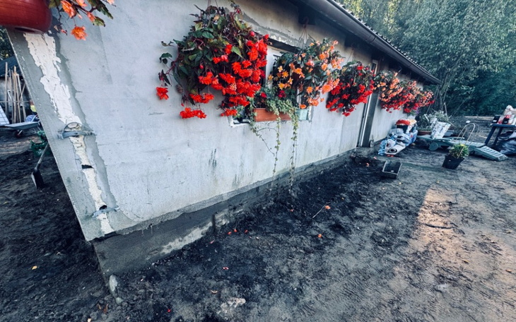 Widok na dom z kwiatami na elewacji i wokół.