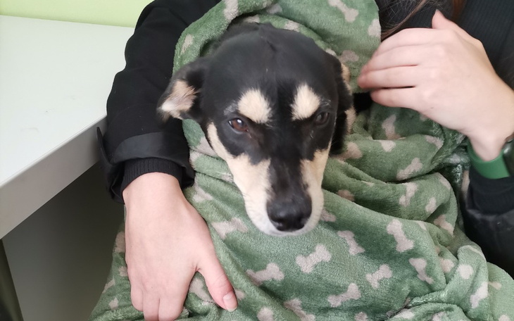 Zbiórka Ratują mnie - zdjęcie główne