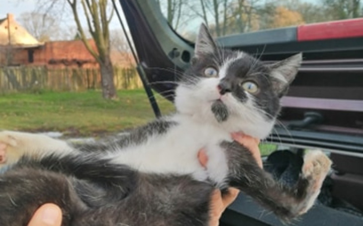 Zbiórka Łapa wygięta w drugą stronę... - zdjęcie główne