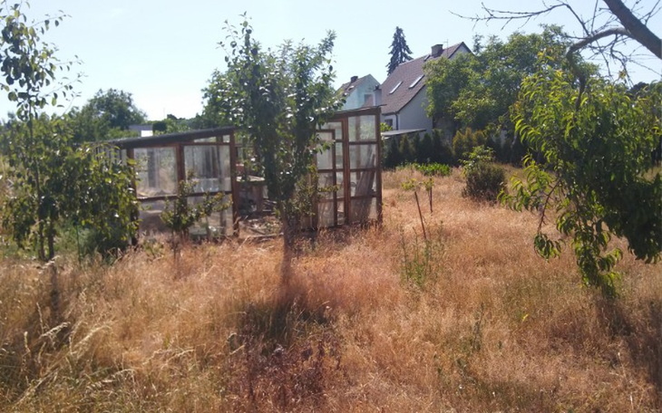 Zbiórka murowany domek na działce - zdjęcie główne