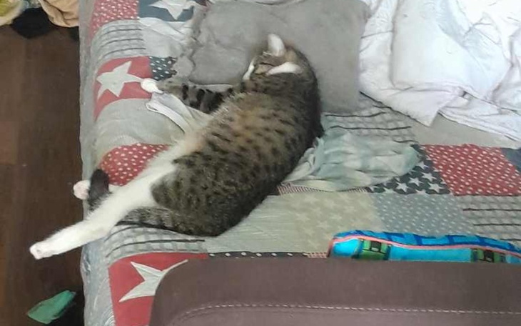 Zbiórka Kajtuś prosi o wsparcie - zdjęcie główne