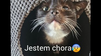Zbiórka 18 letnia Helenka choruje🙏 - miniaturka zdjęcia