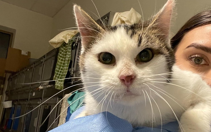 Zbiórka Zbiórka na Karolinkę - zdjęcie główne