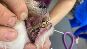 Zbiórka 6 Żyć pełne bólu i cierpienia - miniaturka zdjęcia