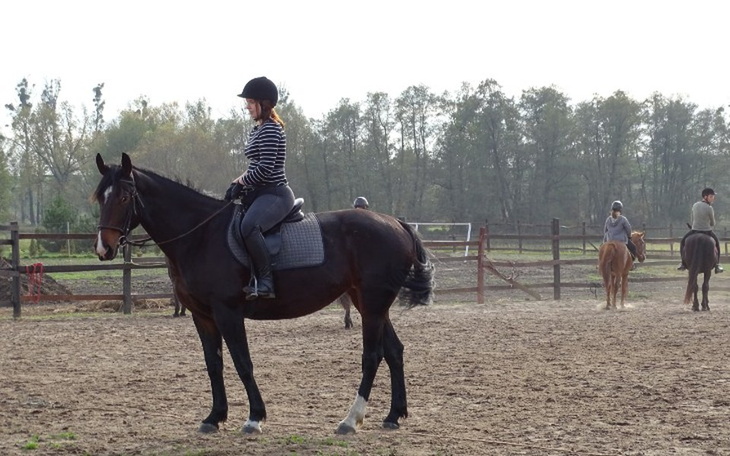 Zbiórka Koń - pasja, marzenie - zdjęcie główne