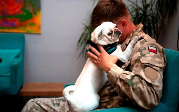 Zbiórka 4 ŁAPY vs. PTSD - zdjęcie główne