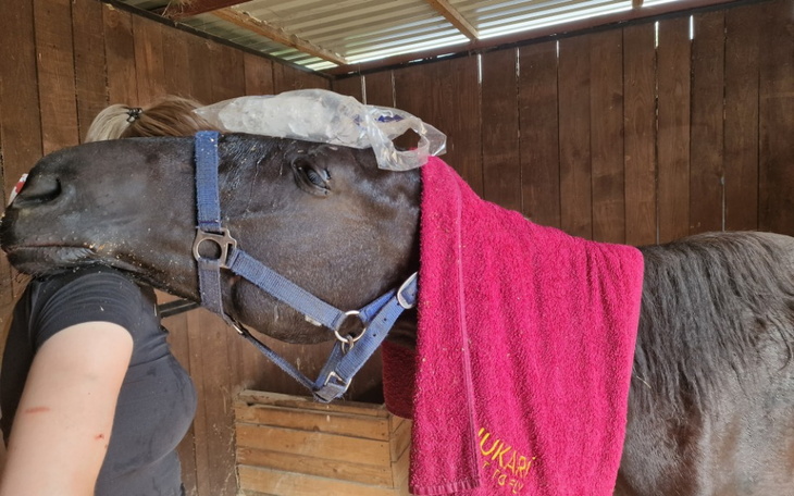 Zbiórka Krwotok i kolka. Ratunek dla Leo - zdjęcie główne