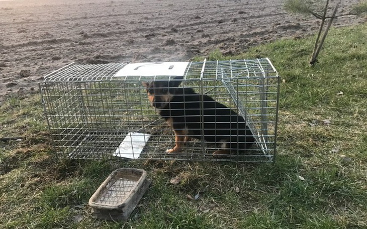 Zbiórka Proszę pomóżcie mi pomagać - zdjęcie główne