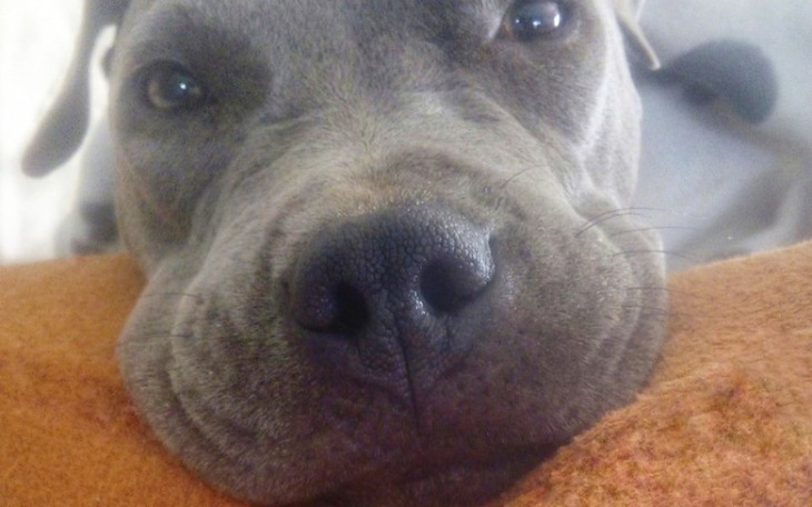 Zbiórka Lejla - zdjęcie główne