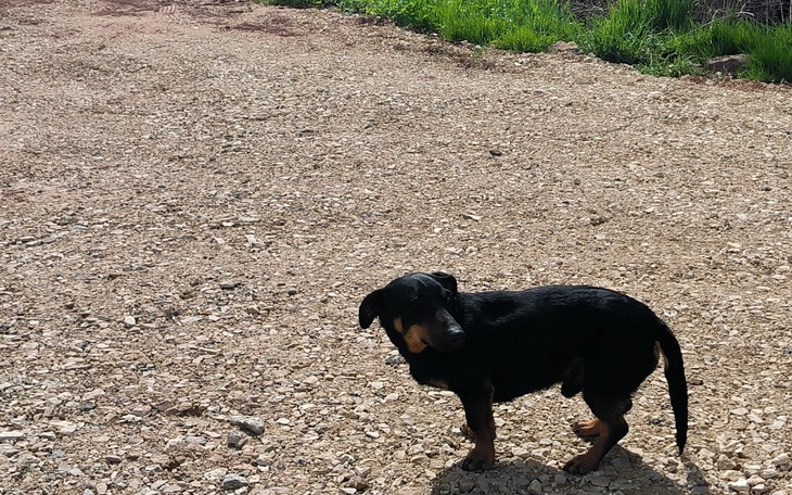 Zbiórka Z lasu po lepsze życie - zdjęcie główne