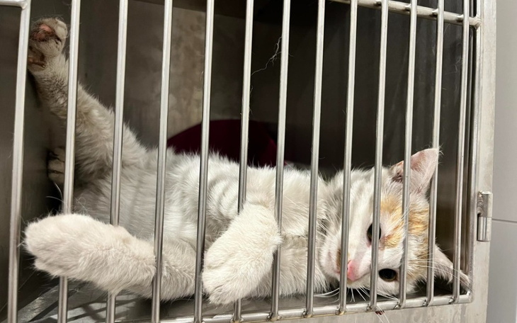 Zbiórka Realia bezdomności - zdjęcie główne