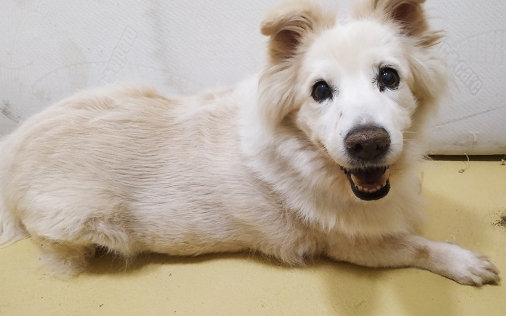 Zbiórka Od Kasi dla Tivii z Ciapkowa - zdjęcie główne