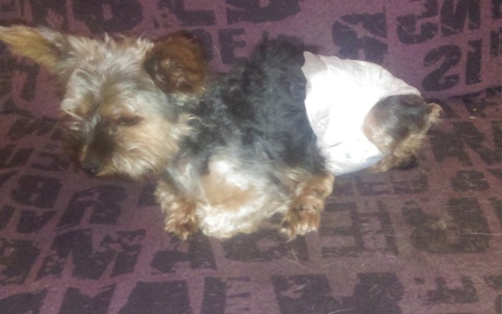 Zbiórka Wózek dla niepelnosprytka - zdjęcie główne