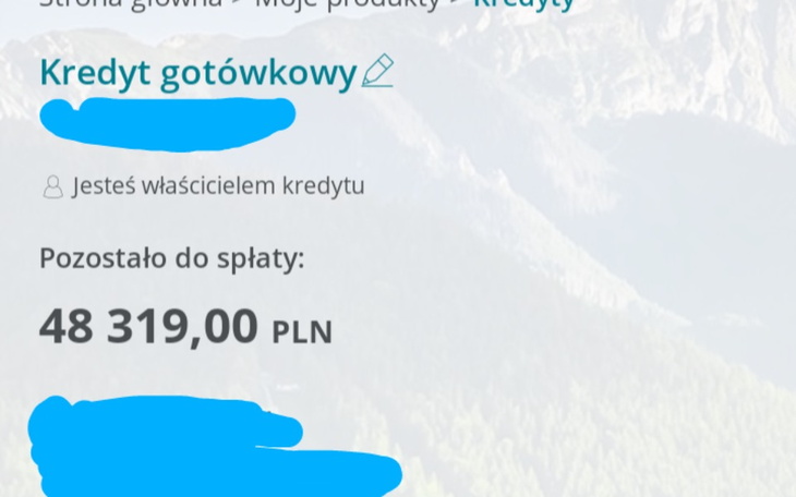 Zbiórka Wyłudzenie kredytu - zdjęcie główne