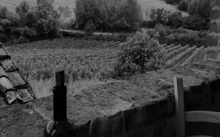 Zbiórka Na badanka - zdjęcie główne