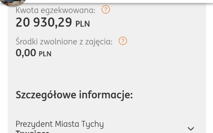 Zbiórka Splata zadłużenia komorniczego - zdjęcie główne