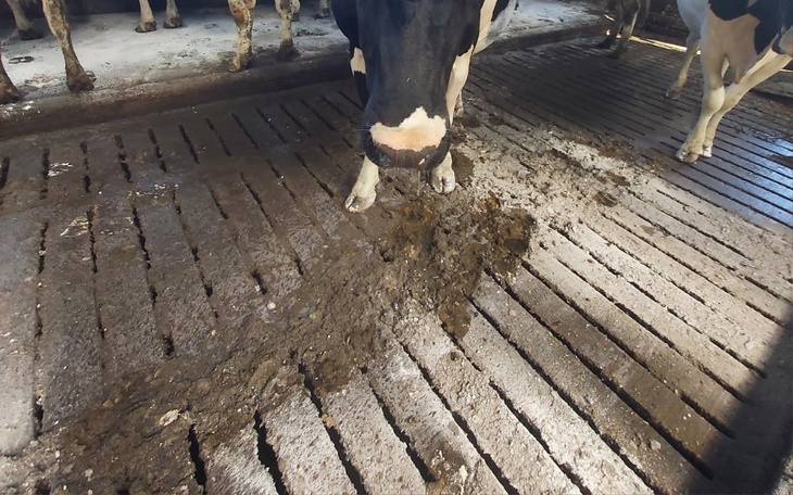 Zbiórka na pozew na rolnika - zdjęcie główne