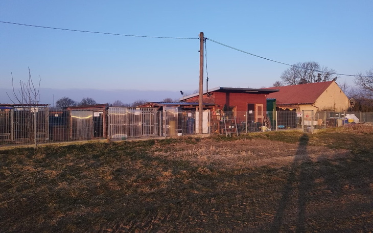 Widok na schronisko dla zwierząt w spokojnej okolicy.