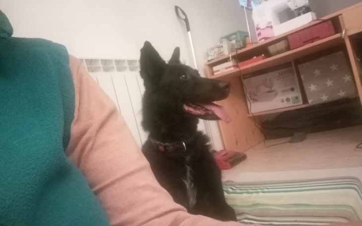 Zbiórka Nikt nie chce umrzeć za wcześnie - zdjęcie główne