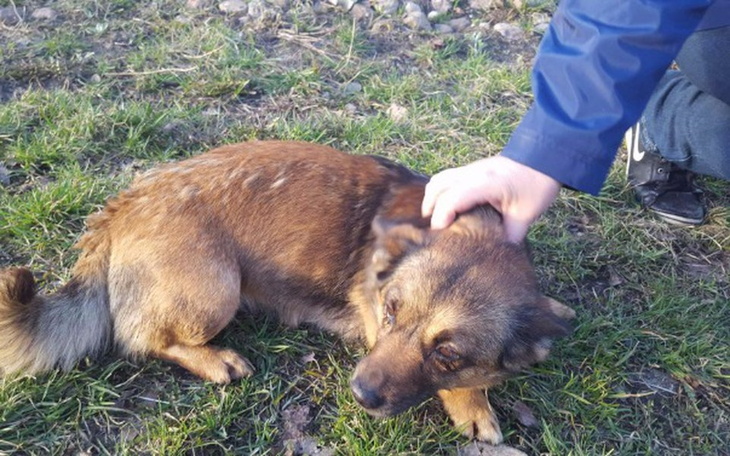 Zbiórka Gdy wali się świat - zdjęcie główne