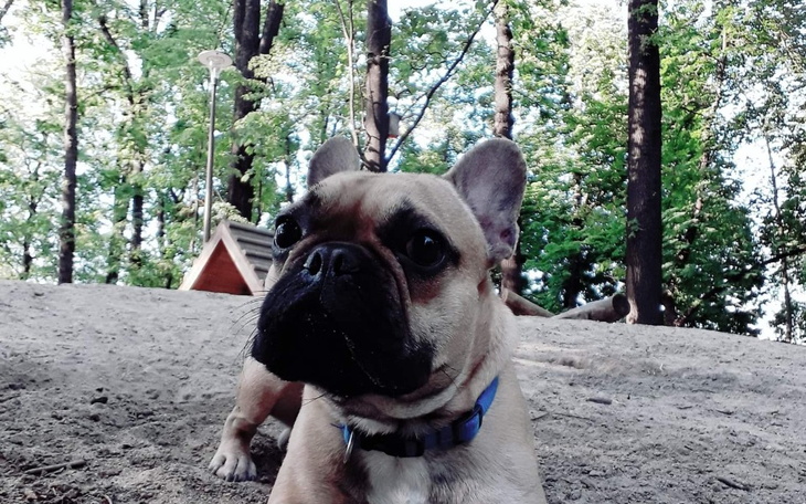 Zbiórka Choroba Kiary - zdjęcie główne