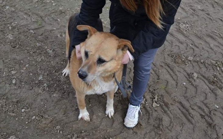 Zbiórka 8 lat w Radysach. Pomóżmy Lunie - zdjęcie główne