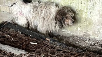 Zbiórka Leczenie Gabrysia - miniaturka zdjęcia