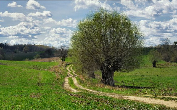 Zbiórka Wsparcie dla rodziny - zdjęcie główne