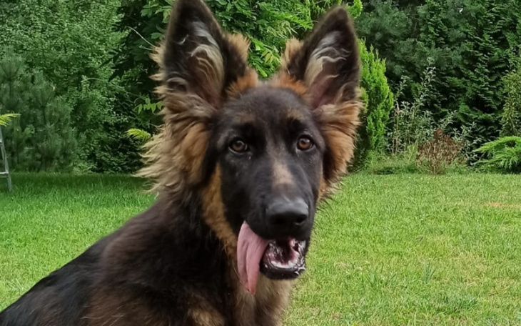 Zbiórka Hawana chce skakać - zdjęcie główne