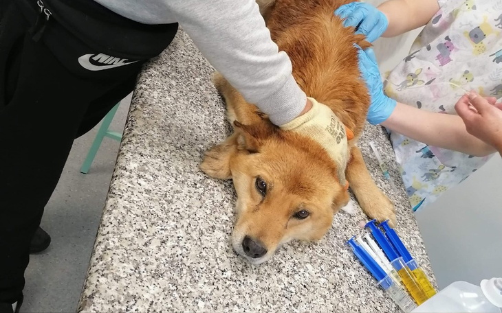 Zbiórka Umierał z głodu przy oprawcach - zdjęcie główne