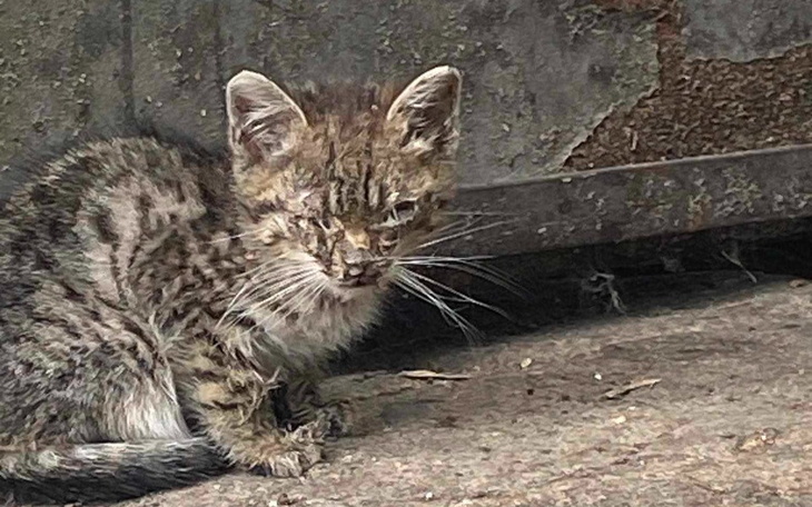 Zbiórka Ograniczamy bezdomność - zdjęcie główne