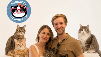 Zbiórka Wedding fundraiser for cats - miniaturka zdjęcia