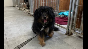 Zbiórka Magia świąt ominęła Mariana - miniaturka zdjęcia