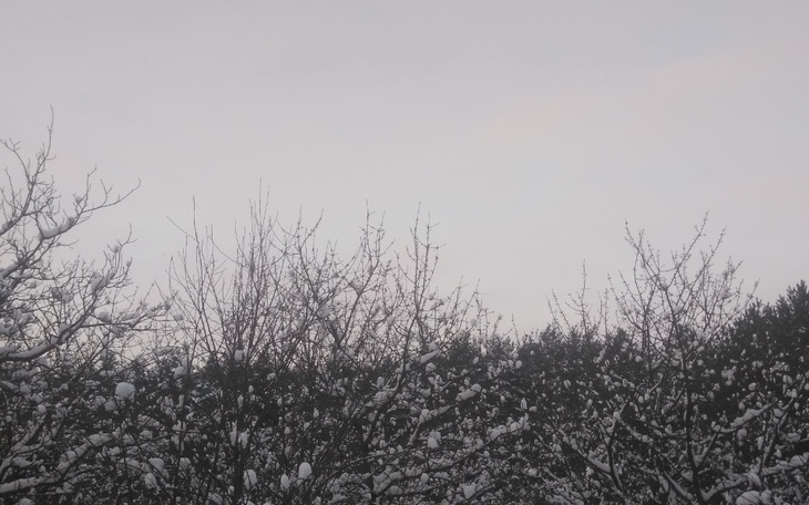 Zbiórka Operacja kolanka - zdjęcie główne