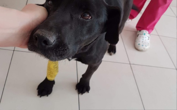 Zbiórka Siti zbiera na REZONANS - zdjęcie główne