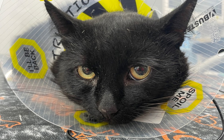 Zbiórka Nowotwór kości, potrzebna pomoc. - zdjęcie główne