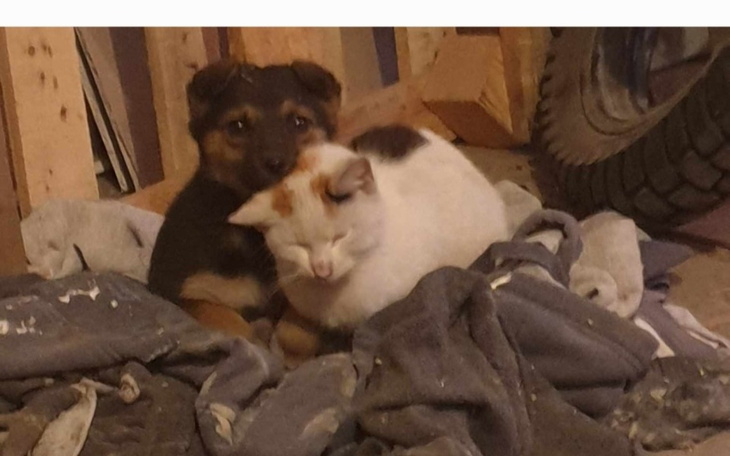 Zbiórka Przyjaciele na dobre i złe - zdjęcie główne